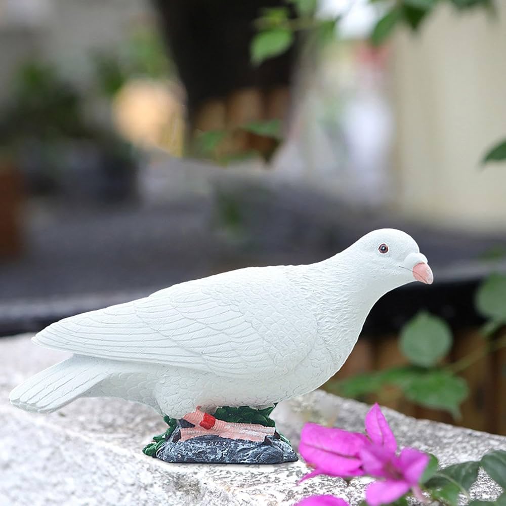 鳩の置物 71+iyS0JHEL._UF1000,1000_QL80_.jpg